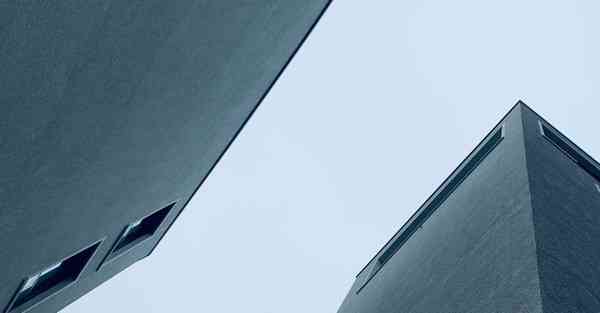 外国语单招大数据的行业文章