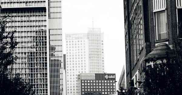 AI绘画公主进化史（公主系列的画画）