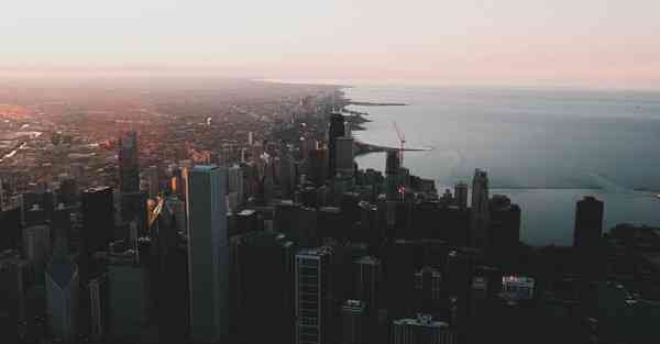 外国语单招大数据的行业文章