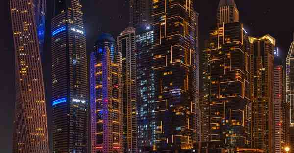 外国语单招大数据的行业文章