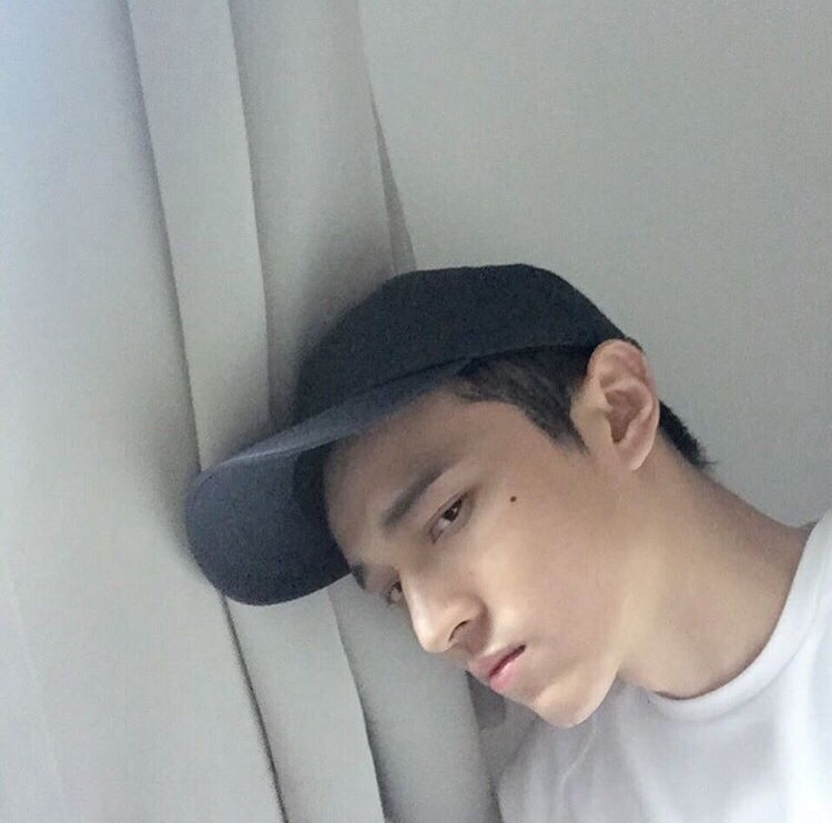 任进婵香