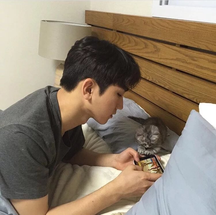 赖振军伦