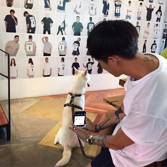 易丽平逸