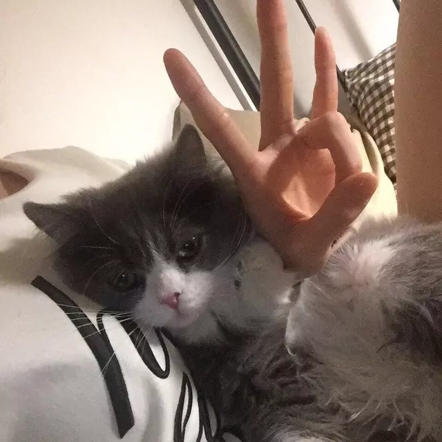 舒力梦民