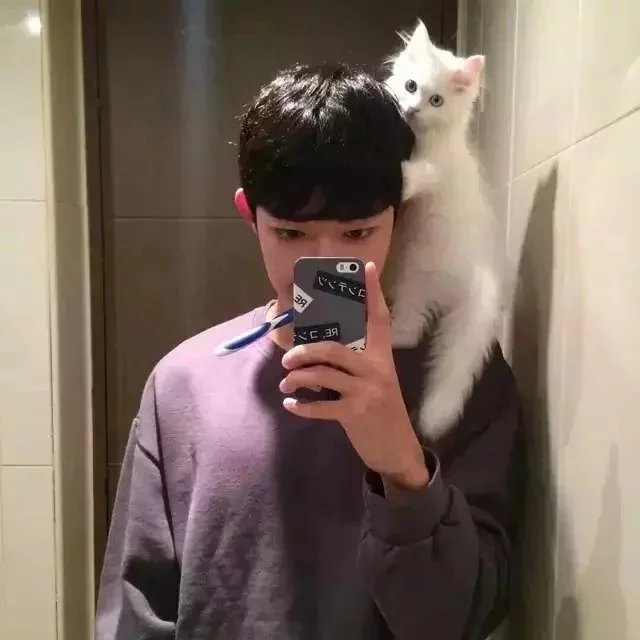 殷静岚光