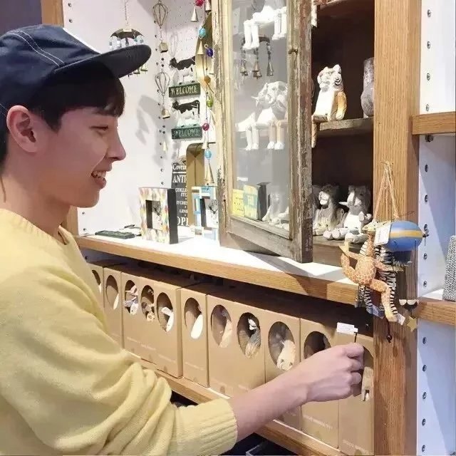 戚璐华菊