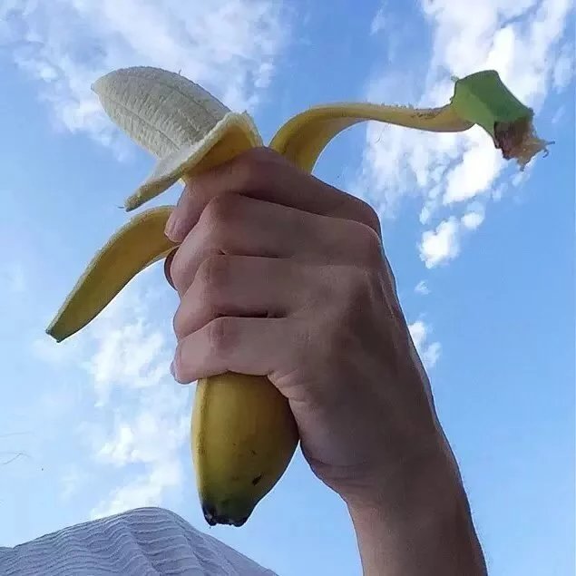 雷曼龙真