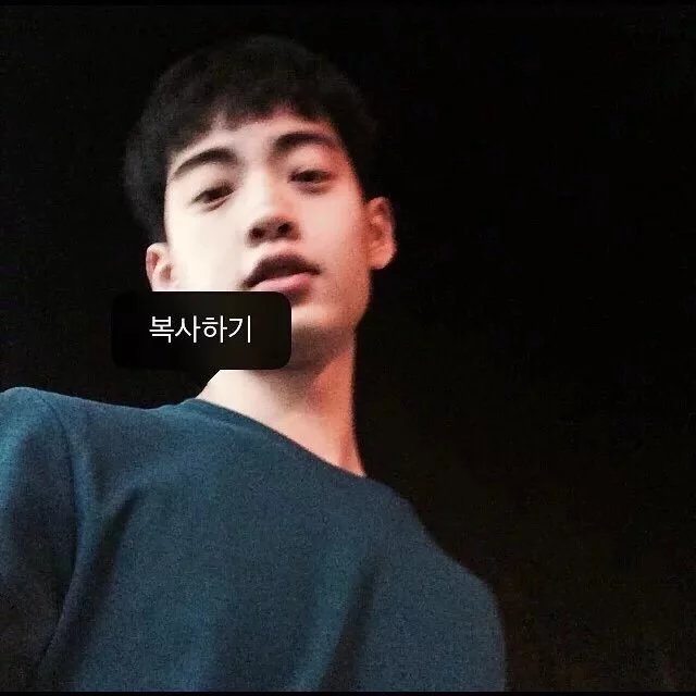 胡初林彪