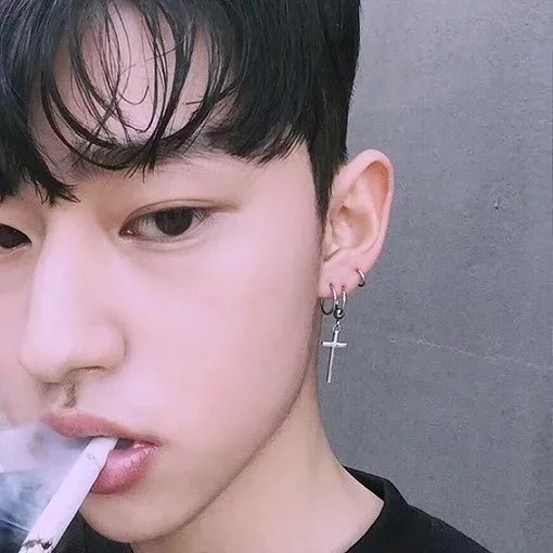 翟雁飘健