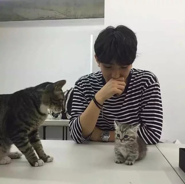 乔静怡保